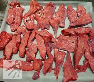 Alfakan-susena-pljuca-priprava-svezih-pljuc-na-pekacu