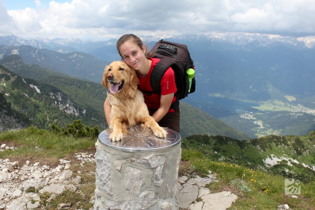 S psom v hribe: na vrhu