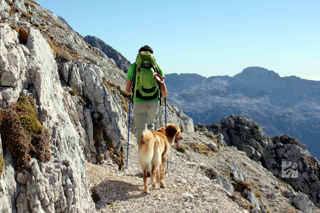 S psom v hribe: lepa narava