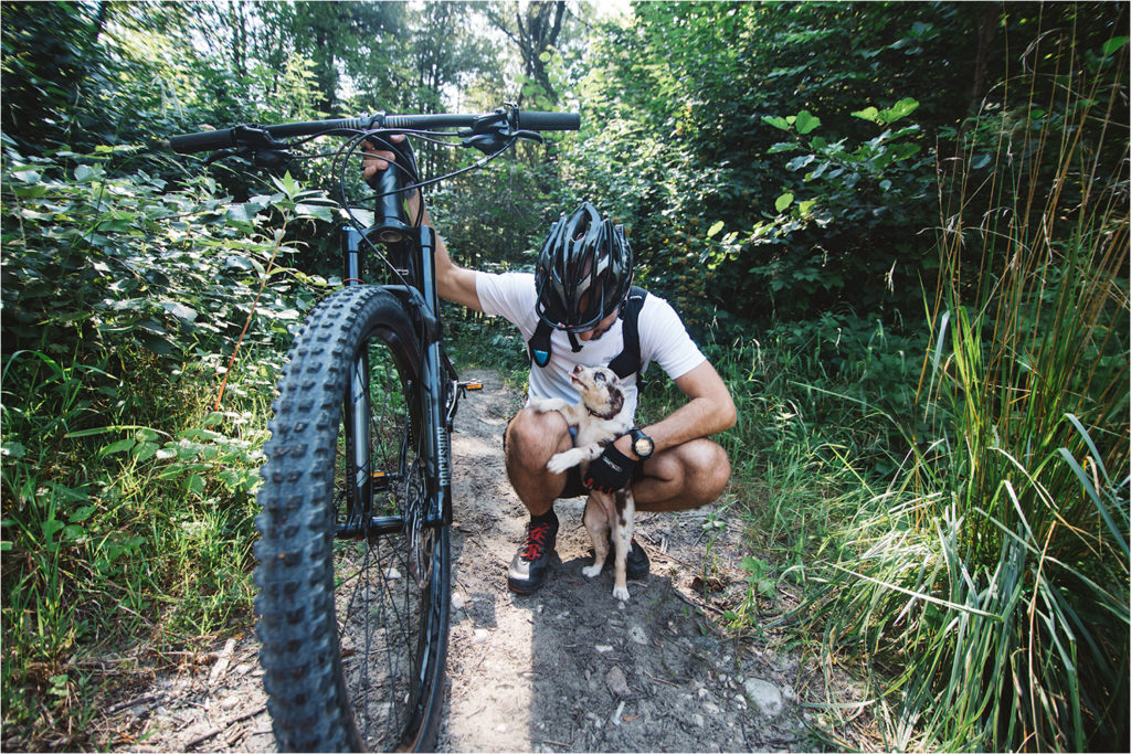 nakup psa: socializacija in prehod psa k novemu lastniku